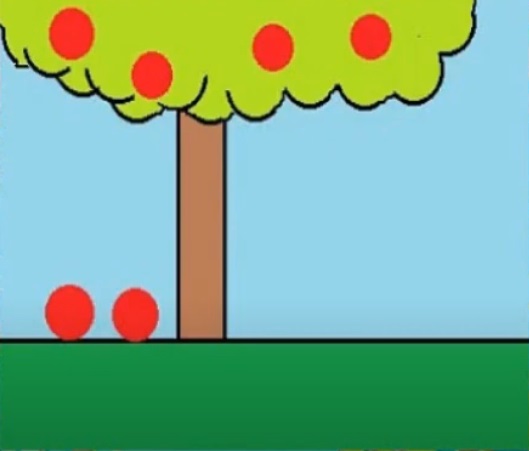 na figura temos uma árvore com 4 maçãs nela e duas maçãs caídas no chão.