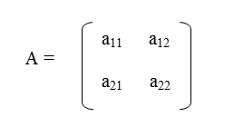 na figura temos uma matriz de ordem 2 onde os elementos da primeira linha são a11 e a12 e os elementos da segunda linha
          a21 e a22.