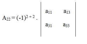 na figura temos o cofator A22 igual a menos 1 elevado a (2 + 2) vezes a determinante D com os elementos a11 e a13 na
          primeira linha e a31 e a33 na segunda linha.