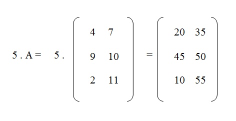 na figura temos o número 5 multiplicando a matriz A que resulta numa matriz 3 por 2 com os elementos 20, 35, 45, 50, 10 e 55