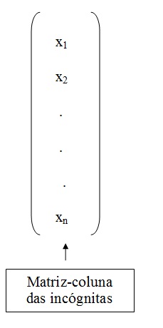 na figura temos uma matriz de apenas uma coluna. Na primeira linha temos o elemento x1, na segunda linha x2 e assim por diante.
          Na última linha temos o elemento xn. Essa é a matriz-coluna incógnita.