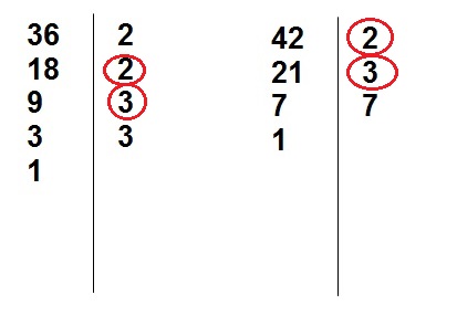 Nesta figura, circulamos os fatores comuns entre 36 e 42.