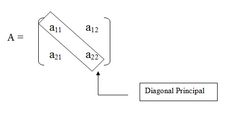 na figura temos a diagonal principal de uma matriz de ordem 2 que passa pelos elementos a11, a22.