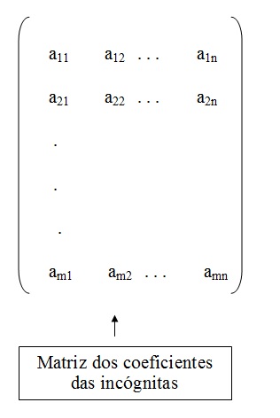 na figura temos o elementos a1, a2 indo até a1n na primeira linha. Na segunda linha, temos os elementos a21, a22 indo até a2n.
          Por fim, no final da matriz temos a linha n com os elementos am1, am2 indo até amn. Essa é a matriz dos coeficientes
          das incógnitas.